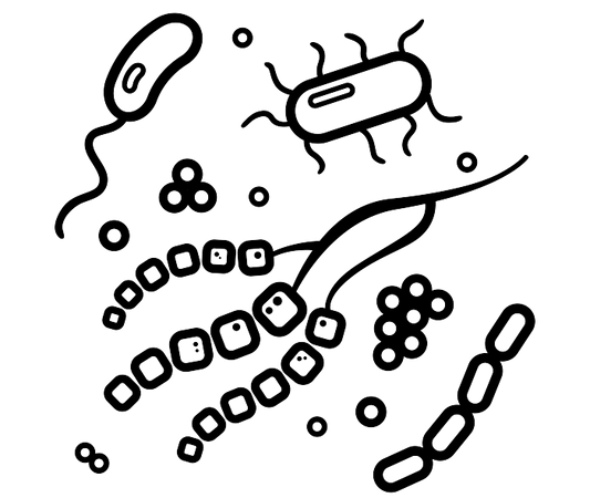 This is how protozoa maintain healthy soil and plants